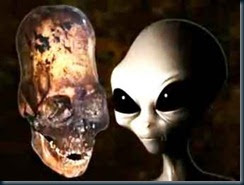 Cranios Alongados Ets Cranios Alongados Ets crânios iguais aos deuses.