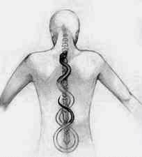 Local Coluna Energia Kundalini Local Coluna Energia Kundalini a energia sexual.
