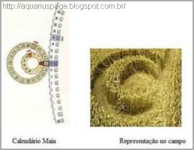 Ciclo Maia Crop Circle 2012 Ciclo Maia Crop Circle 2012 analisando os desenhos.