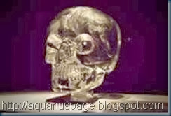 Cranio Cristal Ingles Cranio Cristal Ingles max, o crânio do texas.