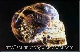 Cranio Cristal Mitchell Hedges Cranio Cristal Mitchell Hedges alguns modelos:.