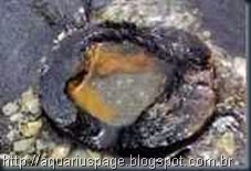 Engenharia Extraterrestre Antiga Engenharia Extraterrestre Antiga a relíquia extraterrestre.