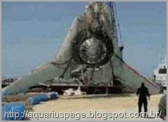 Engenharia Reversa Ufo Usa Engenharia Reversa Ufo Usa tecnologia americana e os extraterrestres.
