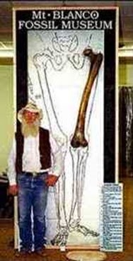 Femur de Gigante Femur de Gigante a ciência confirma.