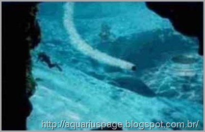 Lanamento Torpedo Ufo Fundo Mar Lanamento Torpedo Ufo Fundo Mar óvnis perdidos nos mares.