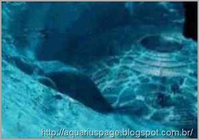 Ufo Acidentado Fundo Mar Ufo Acidentado Fundo Mar óvnis perdidos nos mares.