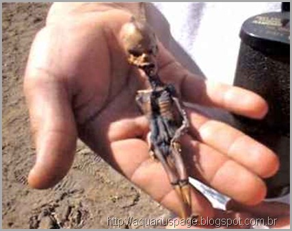 Mini Humanoide Atacama a deformação craniana.
