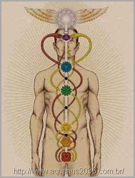 Simbolismo dos Chakras Simbolismo dos Chakras os chakras.