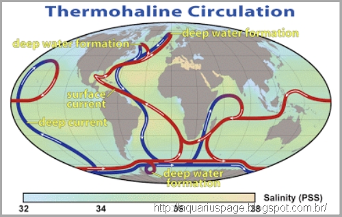 Sistema Circulatrio Termoalina Sistema Circulatrio Termoalina uma nova era do gelo.