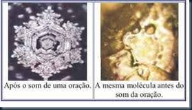 Mensagem Agua Mensagem Agua o poder da mente real.
