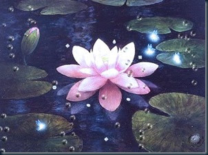 Flor Lotus Seu Simbolismo Flor Lotus Seu Simbolismo a flor de lótus.