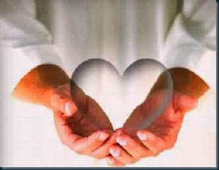 Amor Lei da Vida Amor Lei da Vida o amor é a lei da vida.