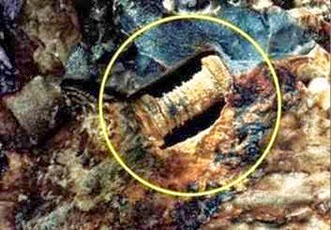 Parafuso Pre Histórico Parafuso Pre Histórico um parafuso de 300 milhões de anos….