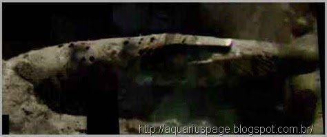 Espaconave Alienigena Acidentada Lua Espaconave Alienigena Acidentada Lua enorme espaçonave antiga acidentada na lua.