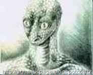 Espiritos Reptilianos Reptiloide as fazes do monoideísmo.