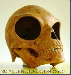 a-caveira-de-Sealand a-caveira-de-Sealand