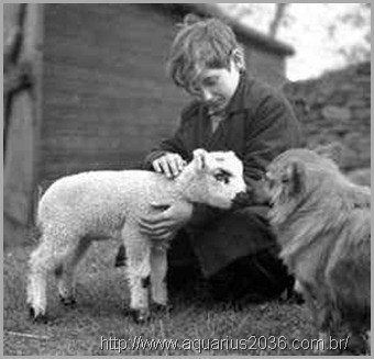 Evolucao dos Animais Espiritismo Evolucao dos Animais Espiritismo a evolução dos animais segundo o espiritismo.