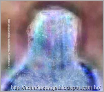 Ongamira Fenomenos Seres Imantado Luz Ongamira Fenomenos Seres Imantado Luz seres de luz são flagrados numa foto em ongamira (argentina).