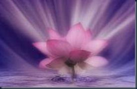 Lotus Sagrado Vida Eterna Lotus Sagrado Vida Eterna genoma do "lótus sagrado" poderá revelar segredos da vida eterna.