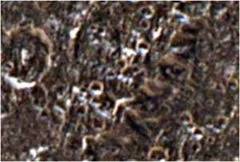 Iapetus Lua Solo Iapetus Lua Solo v – estruturas geométricas e retilíneas e as crateras geométricas.