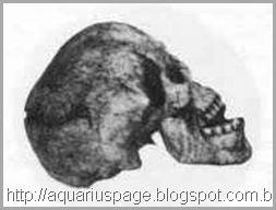 Cranio Moderno Insolito Cranio Moderno Insolito esqueleto moderno no passado.
