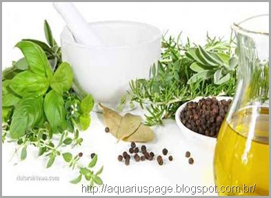 Antibioticos Naturais Antibioticos Naturais antibióticos naturais: 10 ervas e alimentos que matam superbactérias.
