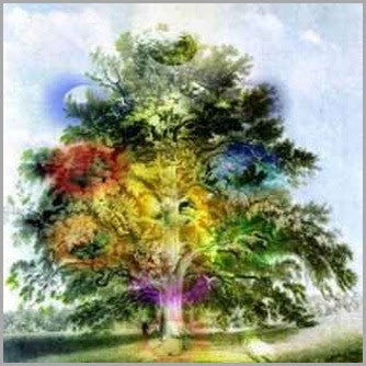 Kabbalah Kabbalah a kabbalah (cabala).