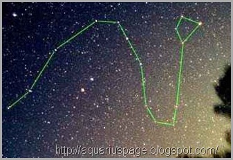 Constelacao Draco Dragao Constelacao Draco Dragao “portanto, não os temais; porque não haverá nada encoberto que não seja revelado, nem oculto que não seja descoberto”. (mateus, 10:26).