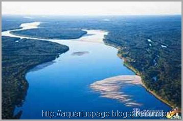 Amazonia Roubo Agua Amazonia Roubo Agua o roubo da água doce do brasil.