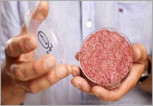 Carne Humana Mcdonald Carne Humana Mcdonald carne humana encontrada em fábricas de carnes do mcdonald nos eua.