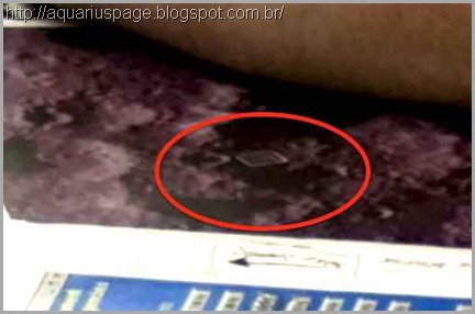 Foto Base Alienigena Lua Vazada Foto Base Alienigena Lua Vazada a estrutura alienígena na lua.