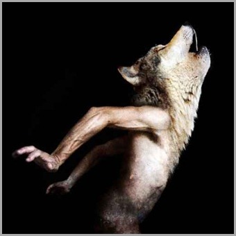 Hibrido Homem Lobo Hibrido Homem Lobo híbridos de pessoas e de animais: a catástrofe dos nossos dias.