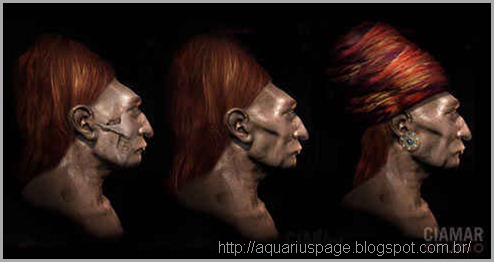 Cranios Paracas Desenho Cranios Paracas Desenho dna dos crânios de paracas.