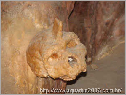 Cranio Petralona Cranio Petralona o crânio de petralona, que desafia a teoria da evolução humana.