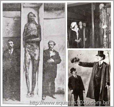 Smithsonian Esquelestos Gigantes Destruidos Smithsonian Esquelestos Gigantes Destruidos smithsonian admite a destruição de milhares de esqueletos gigantes no início de 1900.
