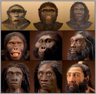 Anunnaki Manipularam Gen Humano Anunnaki Manipularam Gen Humano a evolução e aparecimento do homem.