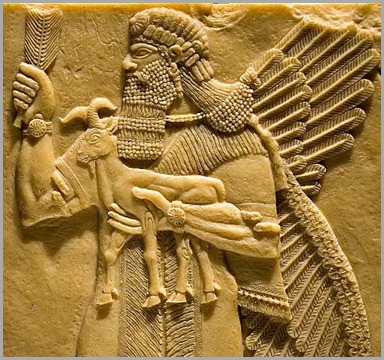 Cabra Animal Vindo Nibiru Cabra Animal Vindo Nibiru agricultura e pastoreio, um presente dos deuses anunnaki de nibiru.