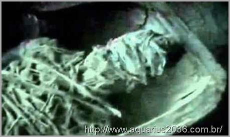 Mumia Alien Kgb Mumia Alien Kgb projeto isis: um extraterreno mumificado descoberto pela kgb em 1961.