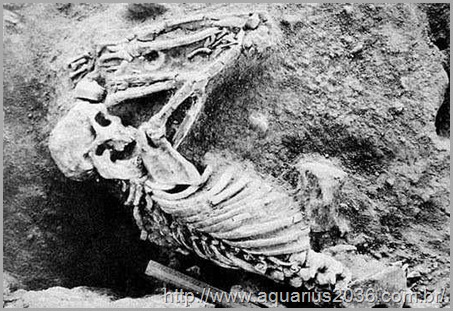 Esqueletos Calcinados Vale Indo Esqueletos Calcinados Vale Indo ruínas arqueológicas de mohenjo-daro.