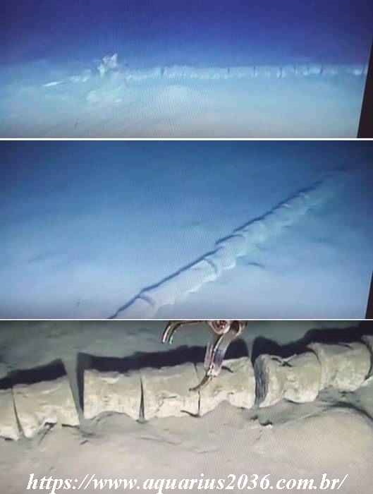 Esqueleto Gigante Animal Misterioso criatura desconhecida.