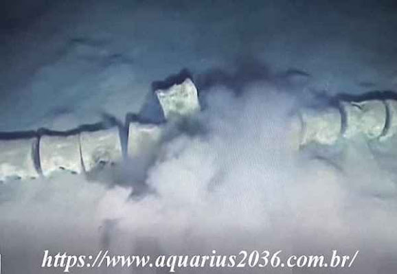misterioso-esqueleto-gigante-fundo-mar